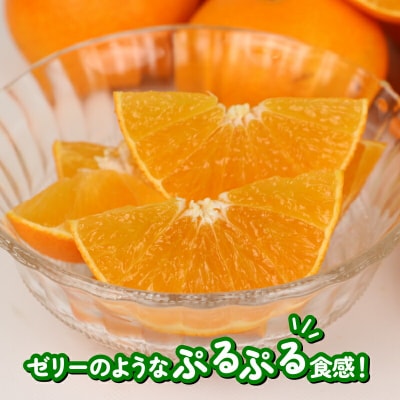 家庭用 愛果28号 2kg ハウス栽培 ハマみかん B012-075001