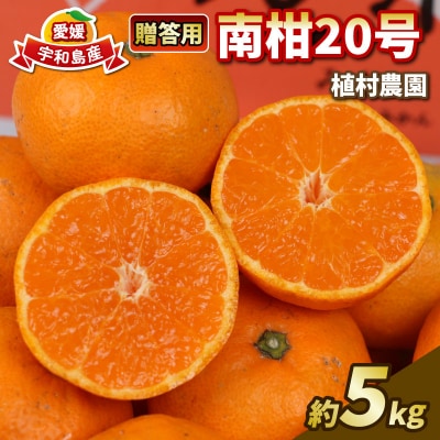 贈答用 南柑20号 5kg 植村農園 B010-153009