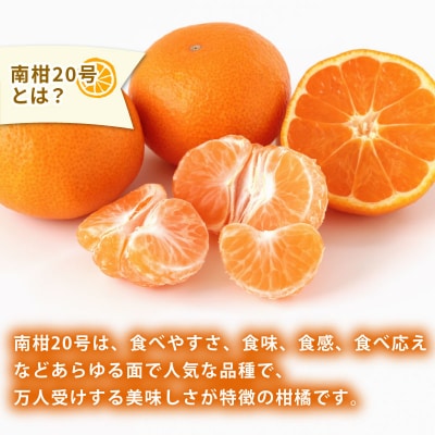 贈答用 南柑20号 5kg 植村農園 B010-153009