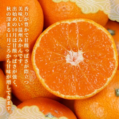 贈答用 宮川早生みかん 2～3kg 矢野青果 B012-171002