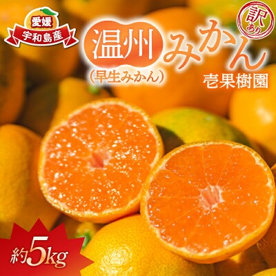 訳あり 温州みかん 早生みかん 5kg 壱果樹園 B010-141003