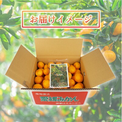 訳あり 温州みかん 早生みかん 5kg 壱果樹園 B010-141003