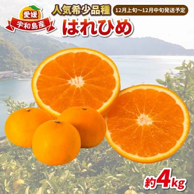 はれひめ 4kg 協徳ガーデン B012-178001