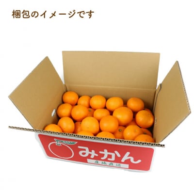はれひめ 4kg 協徳ガーデン B012-178001