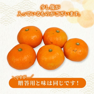 準贈答用 宮川早生みかん 5kg 矢野青果 B012-171001