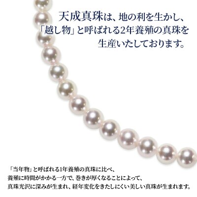 アコヤ真珠 ブローチ 7.5mm 7珠 天成真珠 A270-114017