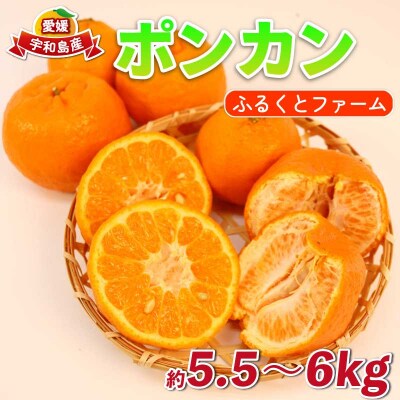 ポンカン 5.5～6kg ふるくとファーム B015-037010