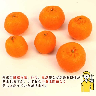 ポンカン 5.5～6kg ふるくとファーム B015-037010