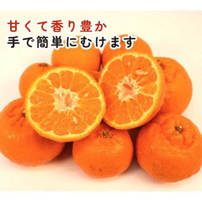 ポンカン 5.5～6kg ふるくとファーム B015-037010