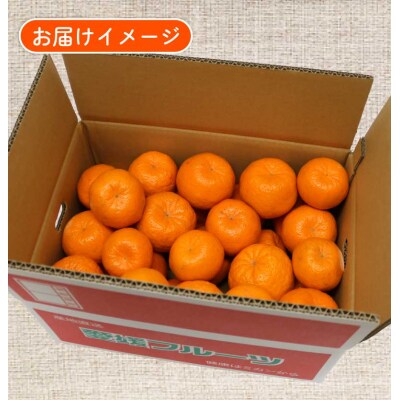 ポンカン 5.5～6kg ふるくとファーム B015-037010
