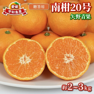 贈答用 南柑20号 2～3kg 矢野青果 B012-171006