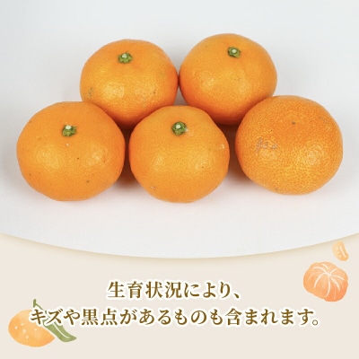 贈答用 南柑20号 2～3kg 矢野青果 B012-171006