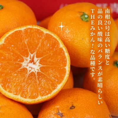 贈答用 南柑20号 2～3kg 矢野青果 B012-171006