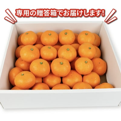 贈答用 南柑20号 2～3kg 矢野青果 B012-171006