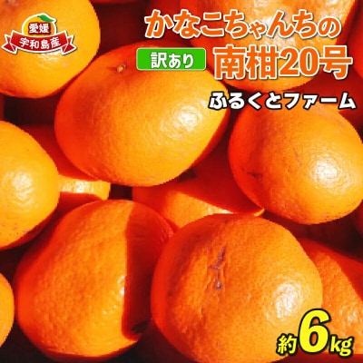 訳あり 南柑20号 6kg ふるくとファーム 先行予約 B010-037005