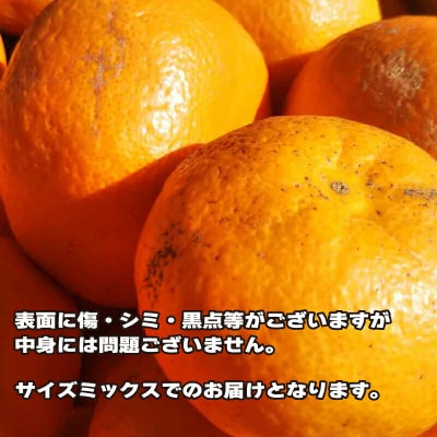 訳あり 南柑20号 6kg ふるくとファーム 先行予約 B010-037005