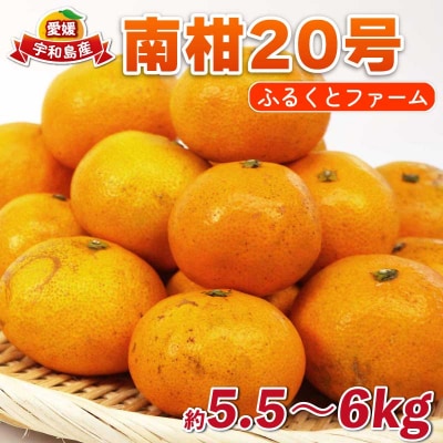 南柑20号 5.5～6kg ふるくとファーム B015-037009
