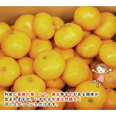 南柑20号 5.5～6kg ふるくとファーム B015-037009