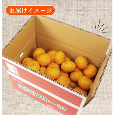 南柑20号 5.5～6kg ふるくとファーム B015-037009