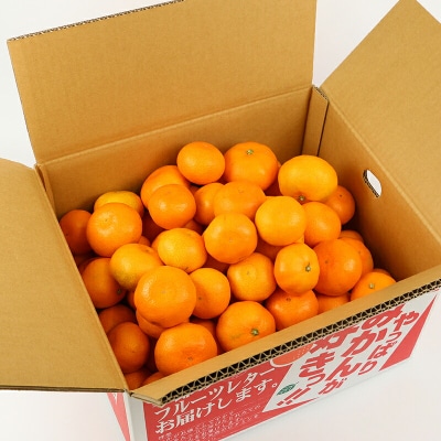 玉津みかん 贈答用 早生温州 10kg ニュービジネスユニット B018-058004