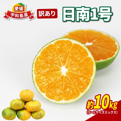 訳あり 玉津みかん 日南1号 10kg ニュービジネスユニット B015-058008