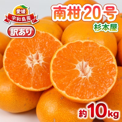 訳あり 南柑20号 10kg 杉本屋 B018-143028