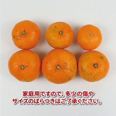 2ヶ月定期便 温州みかん 7.5kg 平石農園 B018-017007