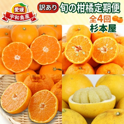 訳あり 旬の柑橘定期便 全4回 杉本屋 B040-143024