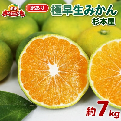 訳あり 極早生みかん 7kg 先行予約 杉本屋 温州みかん B010-143022