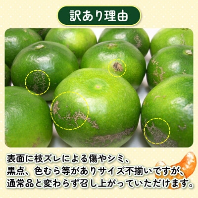 訳あり 極早生みかん 7kg 先行予約 杉本屋 温州みかん B010-143022