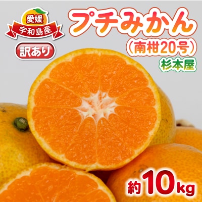 訳あり プチみかん 南柑20号 10kg 杉本屋 B018-143027
