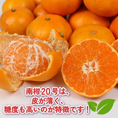 訳あり プチみかん 南柑20号 10kg 杉本屋 B018-143027