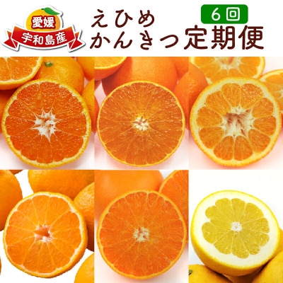 えひめかんきつ定期便 一般社団法人 愛媛県観光物産協会 B130-113001