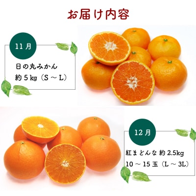 えひめかんきつ定期便 一般社団法人 愛媛県観光物産協会 B130-113001