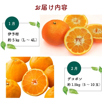 えひめかんきつ定期便 一般社団法人 愛媛県観光物産協会 B130-113001