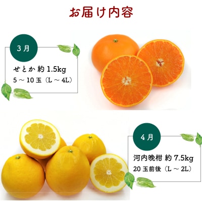 えひめかんきつ定期便 一般社団法人 愛媛県観光物産協会 B130-113001