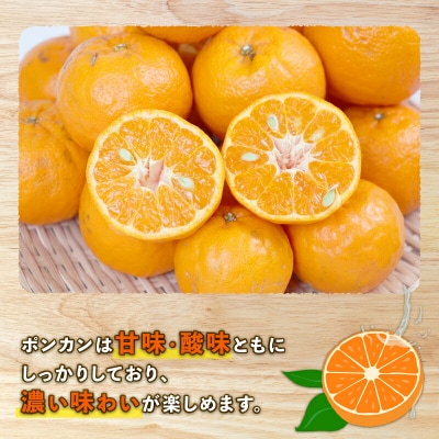 ポンカン 9kg みかん 家庭用 植村農園 先行予約 甘い B010-153005