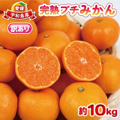 訳あり 完熟プチみかん 早生 10kg 杉本屋 B018-143018