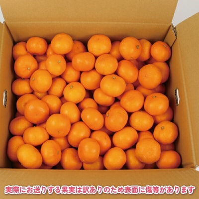 訳あり 完熟プチみかん 早生 10kg 杉本屋 B018-143018