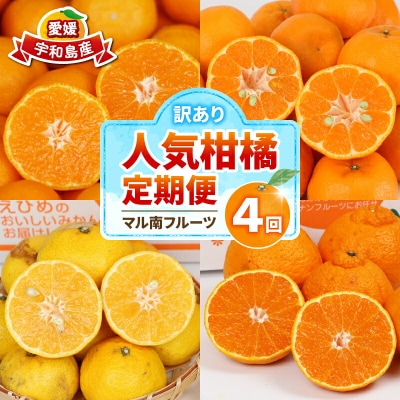 訳あり 人気柑橘 4回定期便 マル南フルーツ B040-106046
