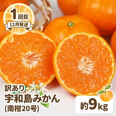 訳あり 人気柑橘 4回定期便 マル南フルーツ B040-106046