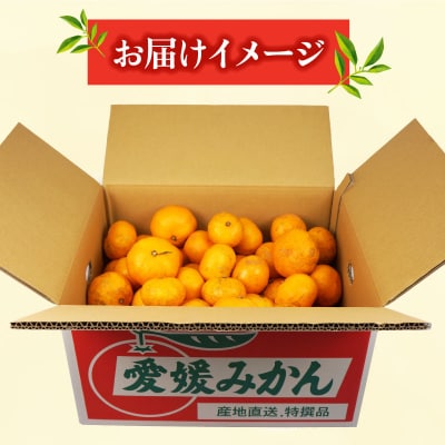 訳あり 早生温州 9kg まる玉農園 早生 みかん B010-172004