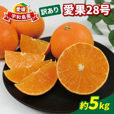 訳あり 愛果28号 5kg 玉津柑橘倶楽部 B015-072026