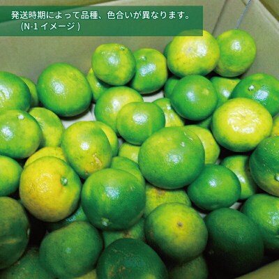 極早生みかん 5kg 先行予約 栽培期間中 農薬 不使用 なかい果樹園 B012-144001