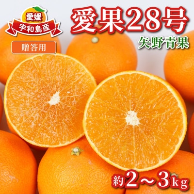 贈答用 愛果28号 ( 紅まどんな と同品種) 2 ~ 3kg 矢野青果 B012-171004
