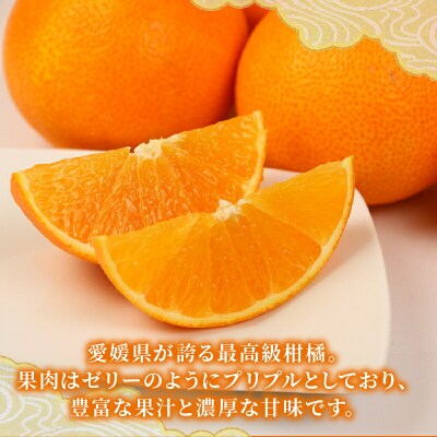 贈答用 愛果28号 ( 紅まどんな と同品種) 2 ~ 3kg 矢野青果 B012-171004
