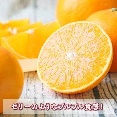 贈答用 愛果28号 ( 紅まどんな と同品種) 約 2kg 矢野青果 先行予約B015-171043