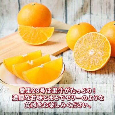 贈答用 愛果28号 ( 紅まどんな と同品種) 約 2kg 矢野青果 先行予約B015-171043