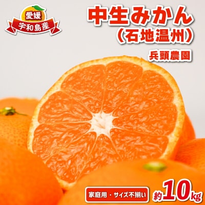 中生みかん 石地温州 10kg 家庭用 サイズ不揃い 兵頭農園 先行予約 B015-055005