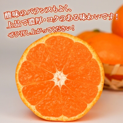 中生みかん 石地温州 10kg 家庭用 サイズ不揃い 兵頭農園 先行予約 B015-055005
